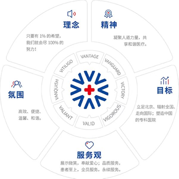 北京中科白癜风医院logo设计理念